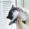 Cat Stick with Feather Toy - Image 6