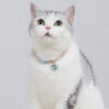Simple And Cute Rainbow Silent Bell Cat Collar