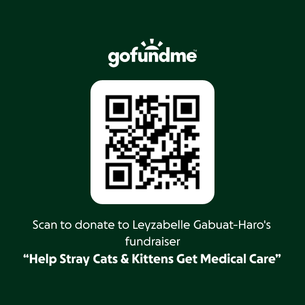 Donation QR Code